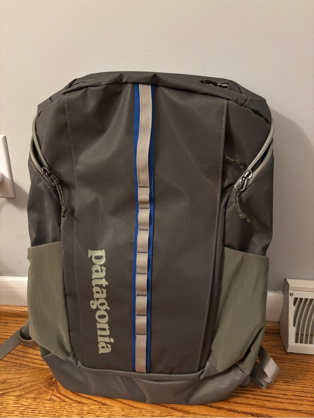 Patagonia Green Backpack with Blue Stripe
